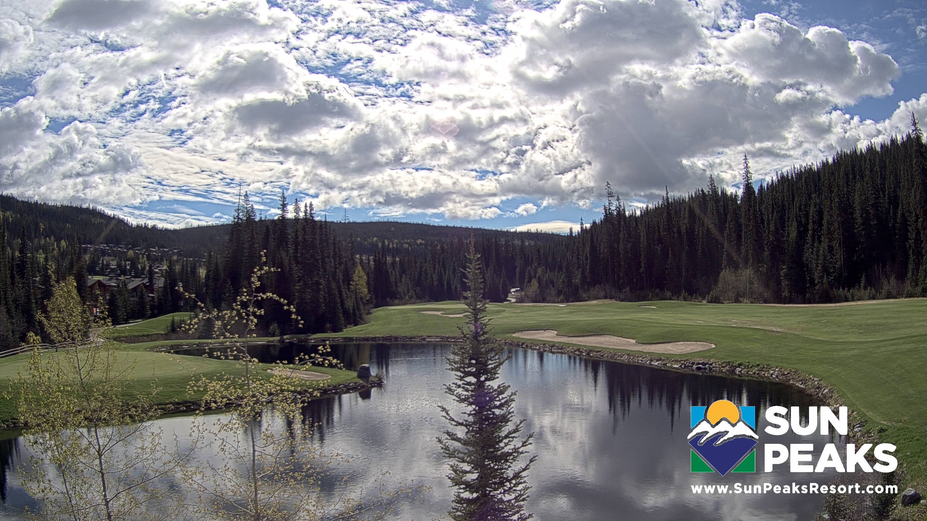 Webcam: Golf Course